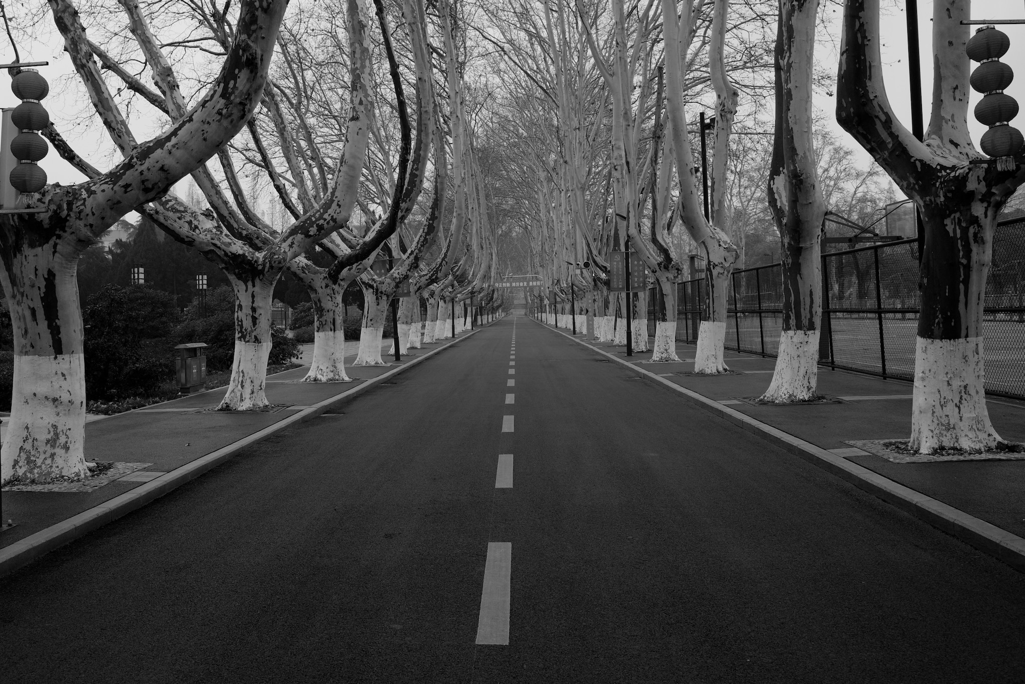 Walkway on university campus